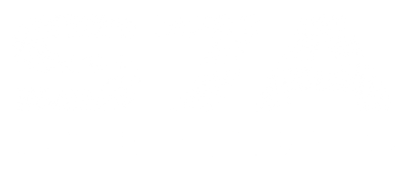 S7UDIO Automotor